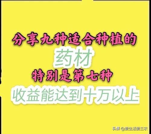 药材种植业什么最赚钱_现在种植什么药材最赚钱_药材种植利润怎么样