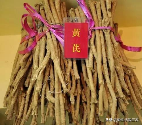 药材种植业什么最赚钱_现在种植什么药材最赚钱_药材种植利润怎么样