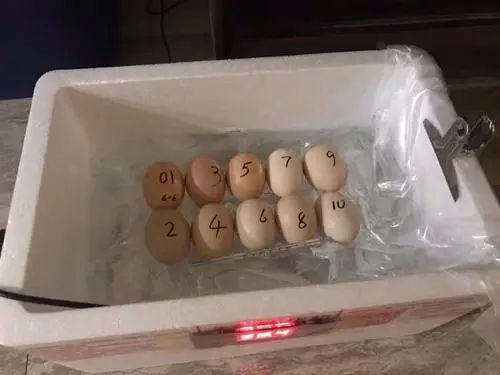 农村代理什么产品最赚钱_代理赚钱农村产品违法吗_代理赚钱农村产品合法吗