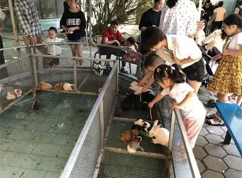 农村代理什么产品最赚钱_代理赚钱农村产品违法吗_代理赚钱农村产品合法吗