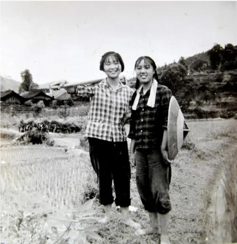 在昆明干点啥挣钱_昆明做什么赚钱_昆明赚钱路子