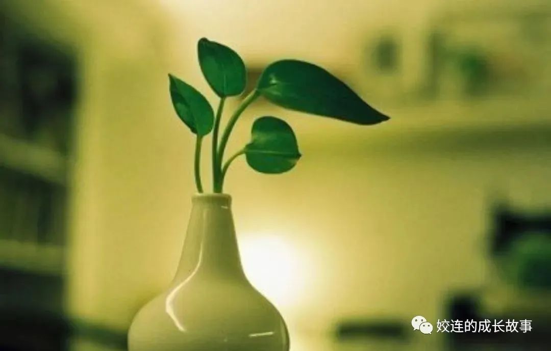 有什么好项目能赚钱-不管做什么项目，只要赚钱就是好项目-优创圈