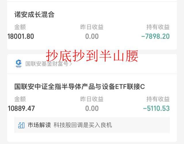 赚钱支付买基金宝安全吗_支付宝买什么基金赚钱_支付宝稳赚基金
