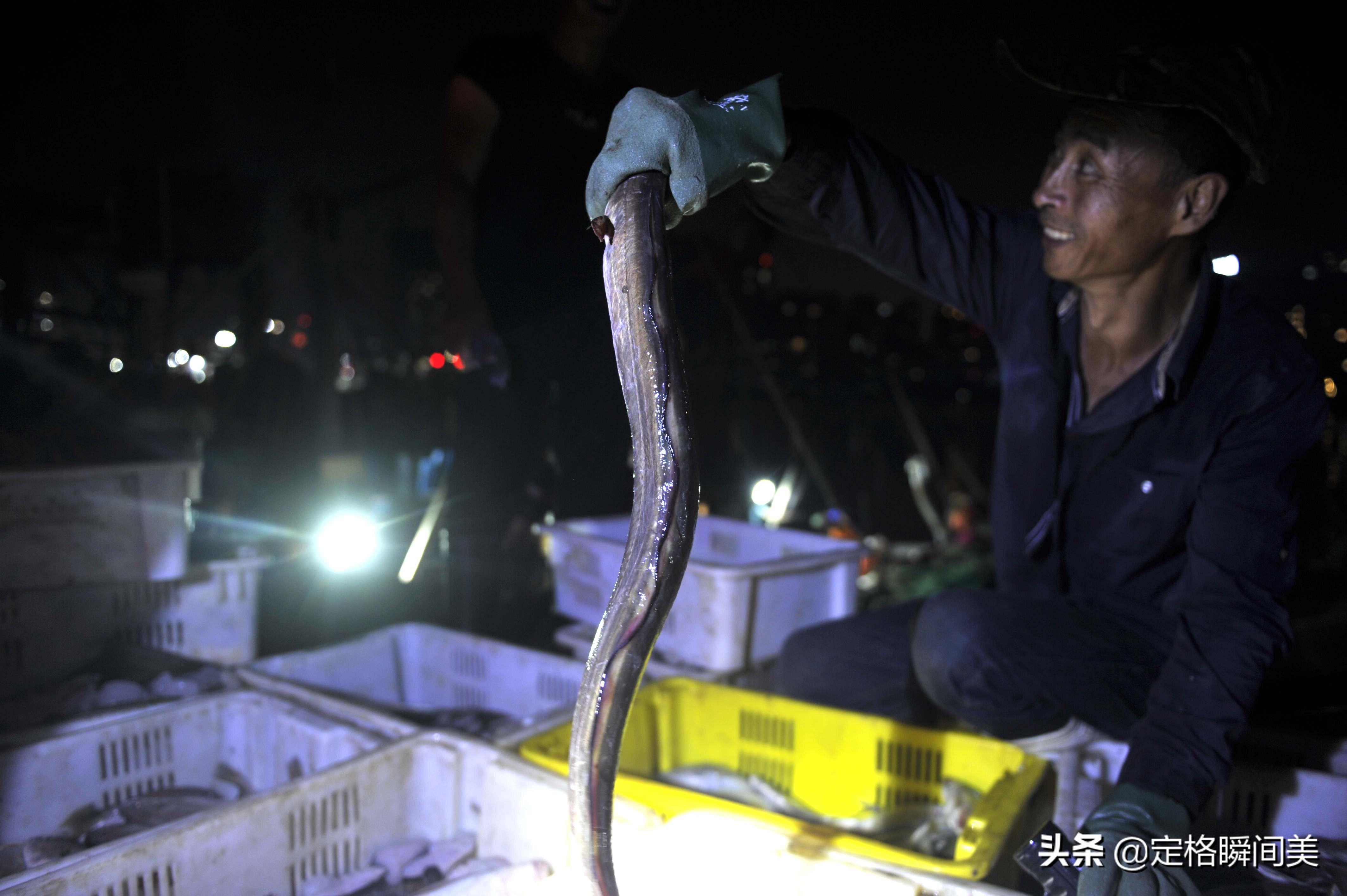 卖什么海鲜赚钱_卖海鲜一年赚50万_卖海鲜利润怎么样
