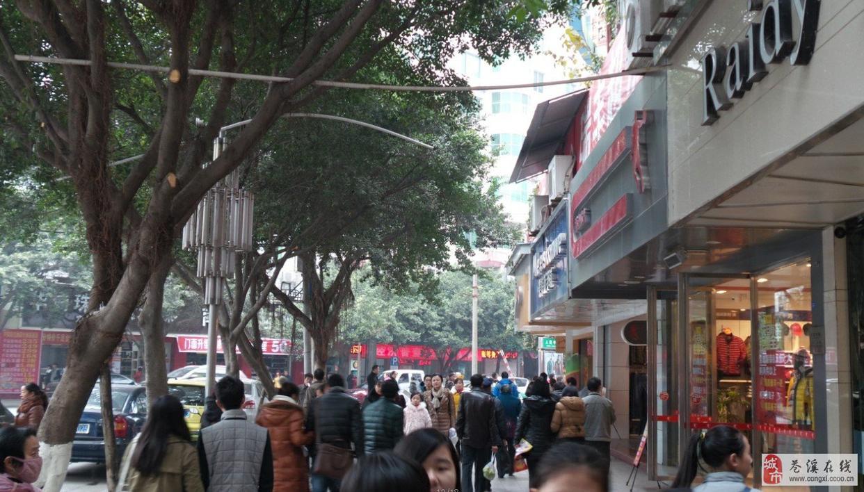 珠海挣钱_珠海做什么赚钱_珠海干啥挣钱
