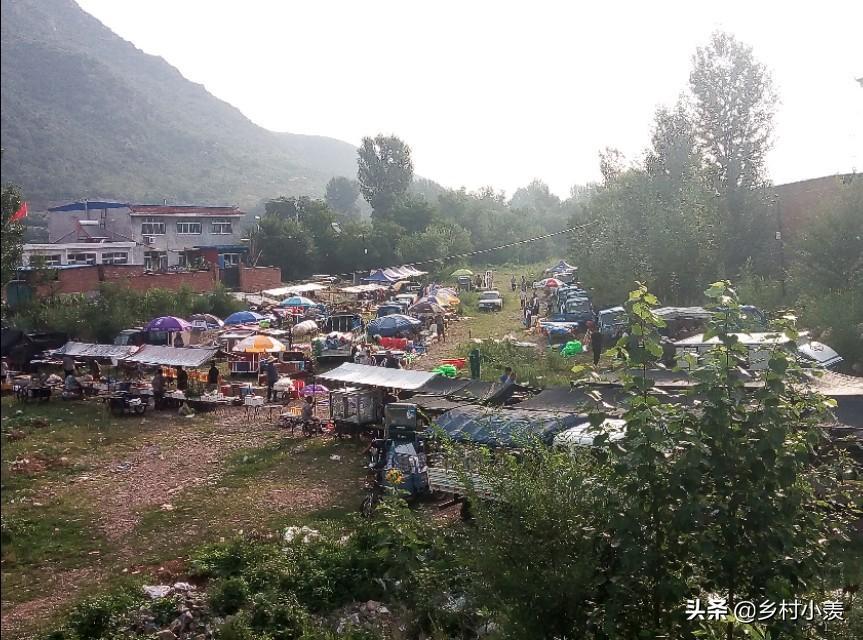 夏季做什么生意最赚钱_夏季生意赚钱做什么_夏季做生意卖点啥