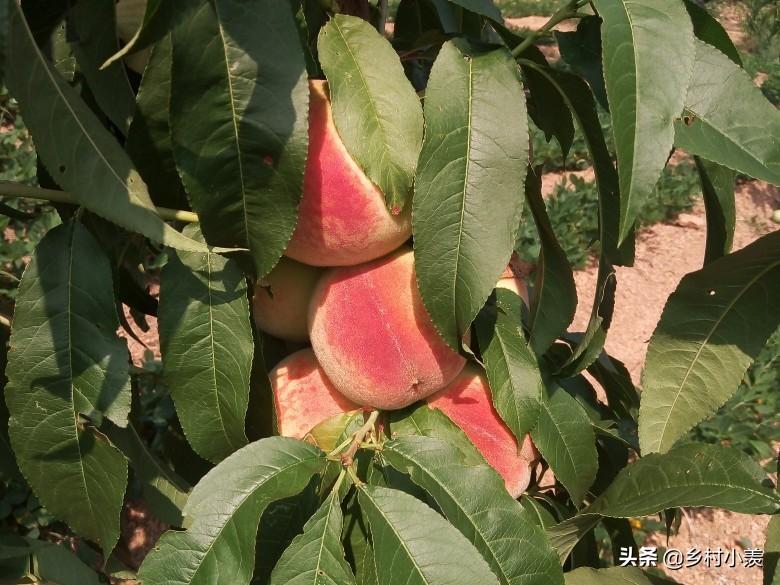 夏季做生意卖点啥_夏季做什么生意最赚钱_夏季生意赚钱做什么