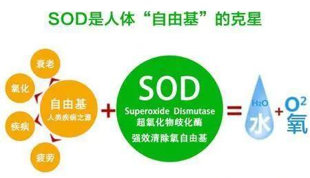 存金宝里的钱放着不动_存金宝收益怎么样_存金宝靠什么赚钱