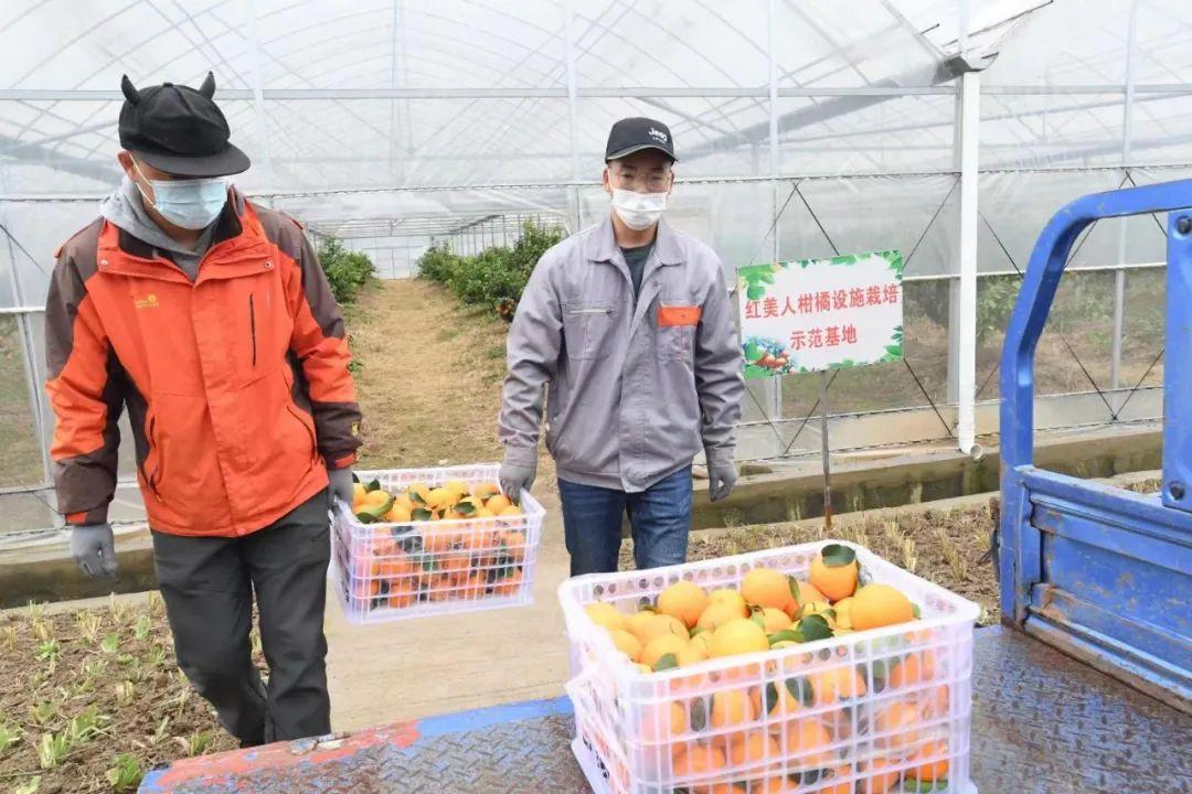土地种什么收入高_土地种啥省事又赚钱_金土地种什么最赚钱