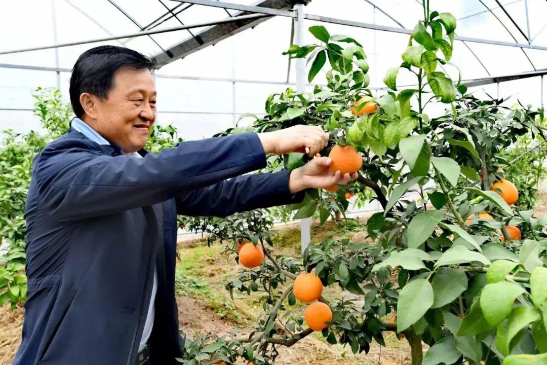 金土地种什么最赚钱_土地种什么收入高_土地种啥省事又赚钱