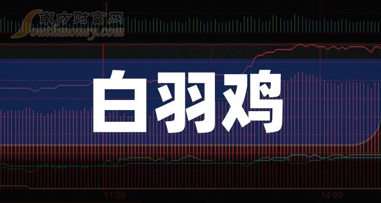 养殖什么鸡最赚钱-养一只白羽鸡均赚1分钱 从业者熬过艰难一年 分析人士称明年或可“多收三五斗”｜行业观察-优创圈