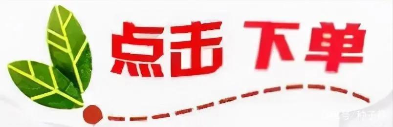赚钱的树_栽什么树赚钱_赚钱种树