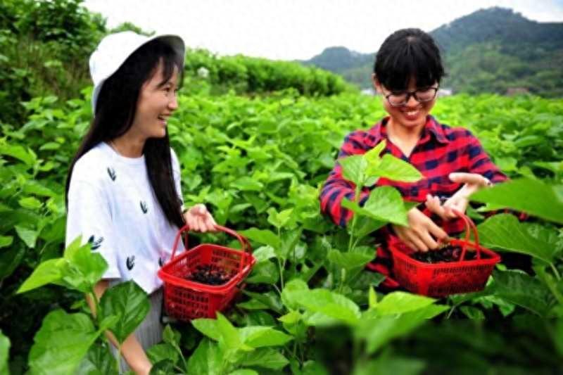 农村什么小生意最赚钱-农村人在家就能挣钱的几个生意项目，男女都行，最好夫妻一起干！-优创圈