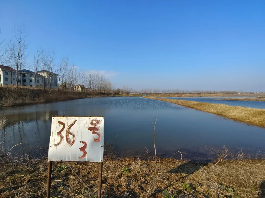 图片[5]-水田种植什么赚钱-安徽“三农”深度调研：农业不赚钱、农村难招“工”、农民想进城，乡村振兴何处去？-优创圈