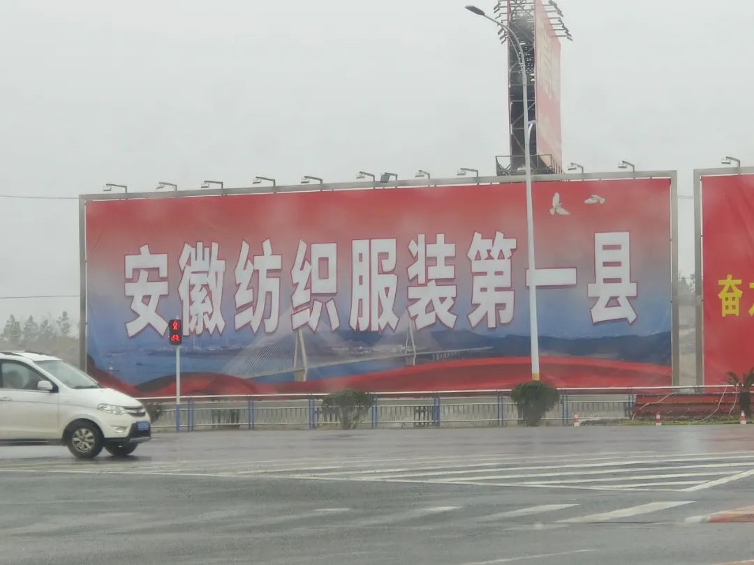 图片[7]-水田种植什么赚钱-安徽“三农”深度调研：农业不赚钱、农村难招“工”、农民想进城，乡村振兴何处去？-优创圈