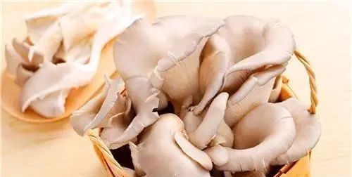 栽培什么品种赚钱-现在大棚种植什么最赚钱这四个品种可以考虑-优创圈
