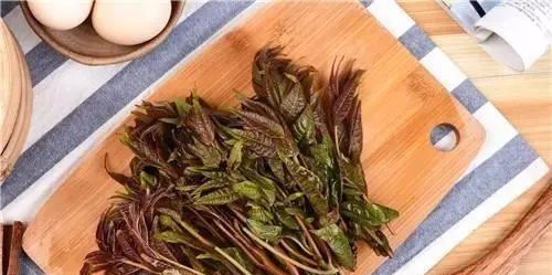 种植最赚钱的是什么_栽培什么品种赚钱_栽培什么树品种赚钱