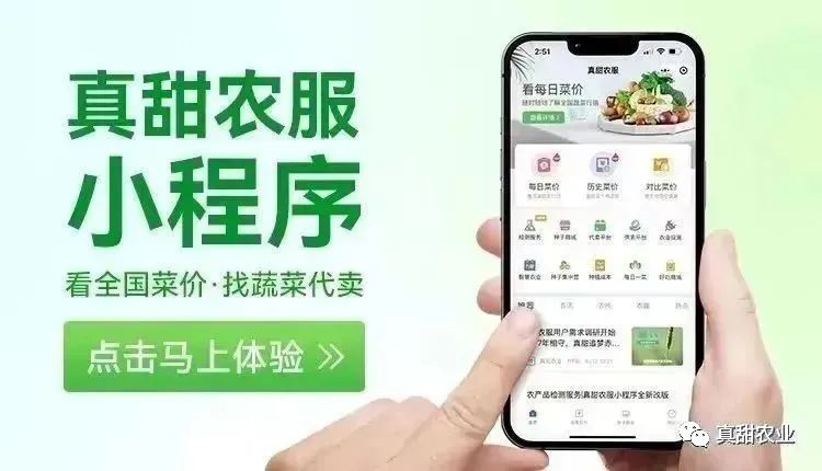 什么农产品最赚钱-做农产品，有两个问题要弄清（附全国十四大农批市场菜价）-优创圈