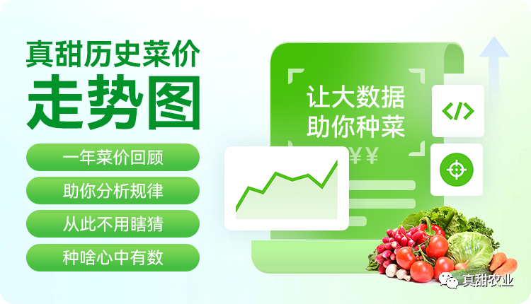 赚钱的农业项目_什么农产品最赚钱_做什么农产品赚钱