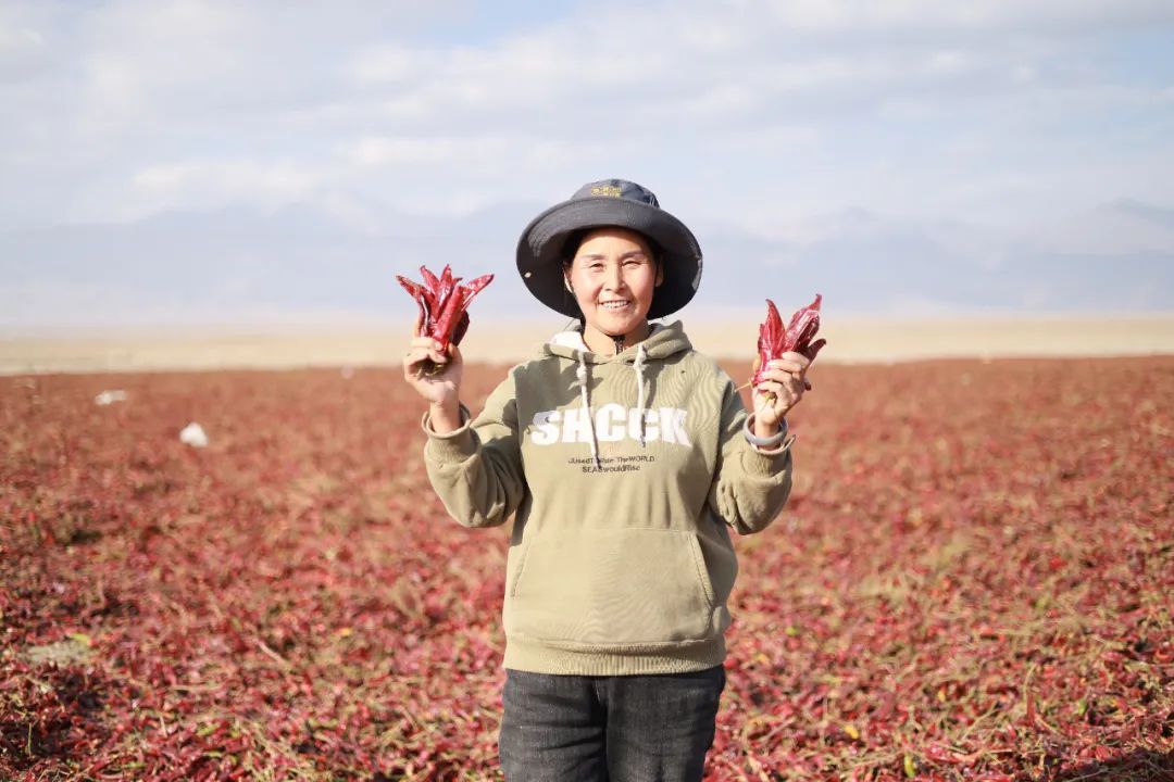 承包种地赚钱吗_承包赚钱种地合法吗_承包地种什么赚钱