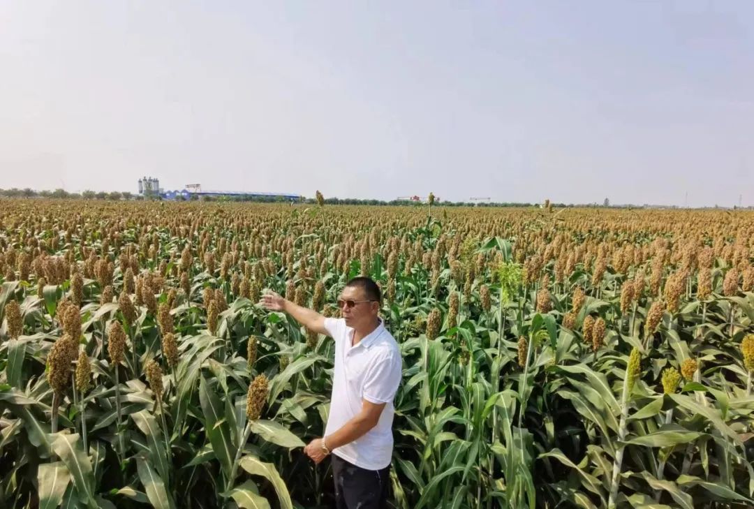 承包地种什么赚钱_承包种地赚钱吗_承包赚钱种地合法吗