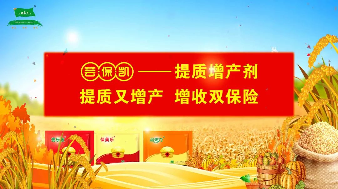 承包种地赚钱吗_承包赚钱种地合法吗_承包地种什么赚钱