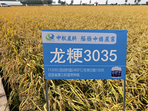 在湖南种植什么最赚钱_湖南种植赚钱吗_湖南种植业什么前景最好