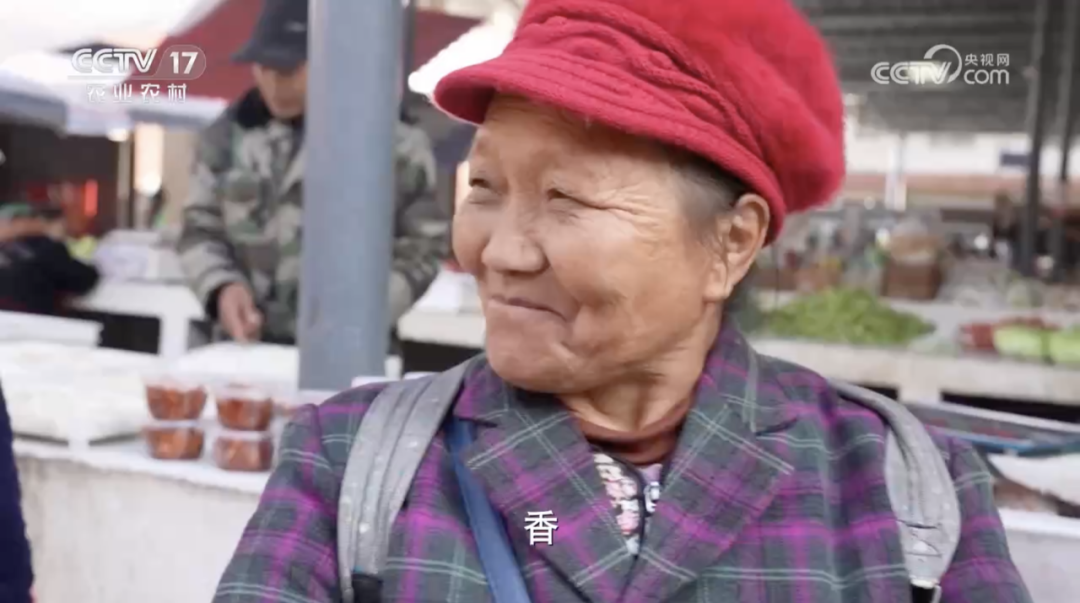 图片[11]-农村卖什么吃的赚钱-有它的地方，就是妥妥的乡村CBD-优创圈