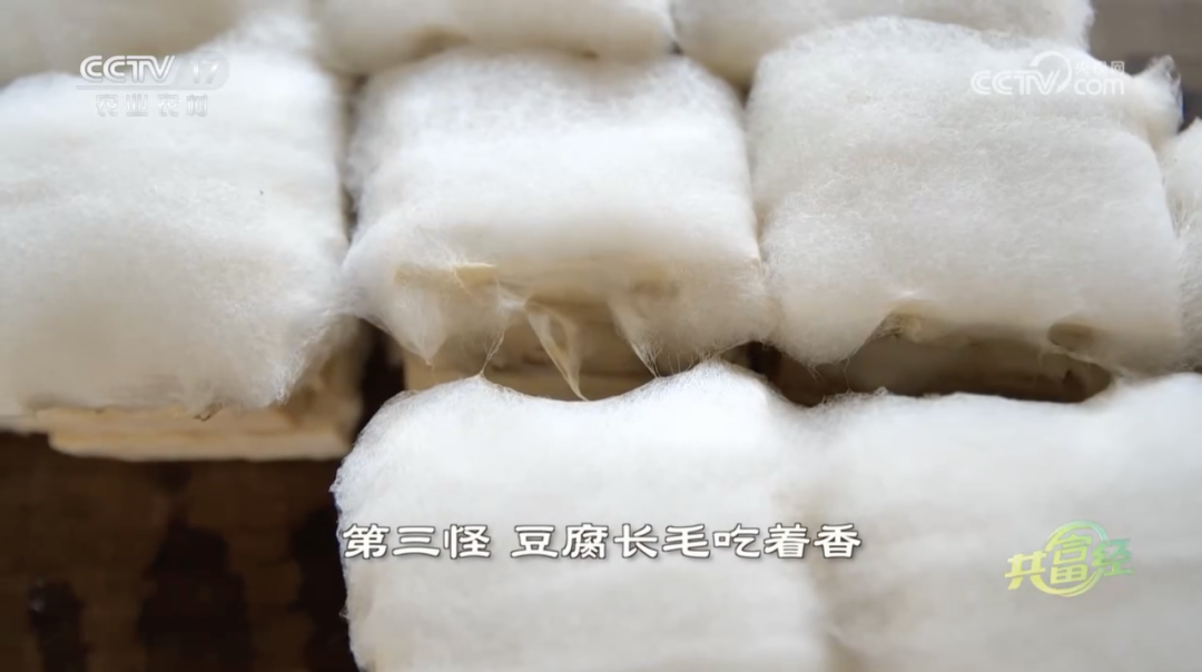 图片[10]-农村卖什么吃的赚钱-有它的地方，就是妥妥的乡村CBD-优创圈