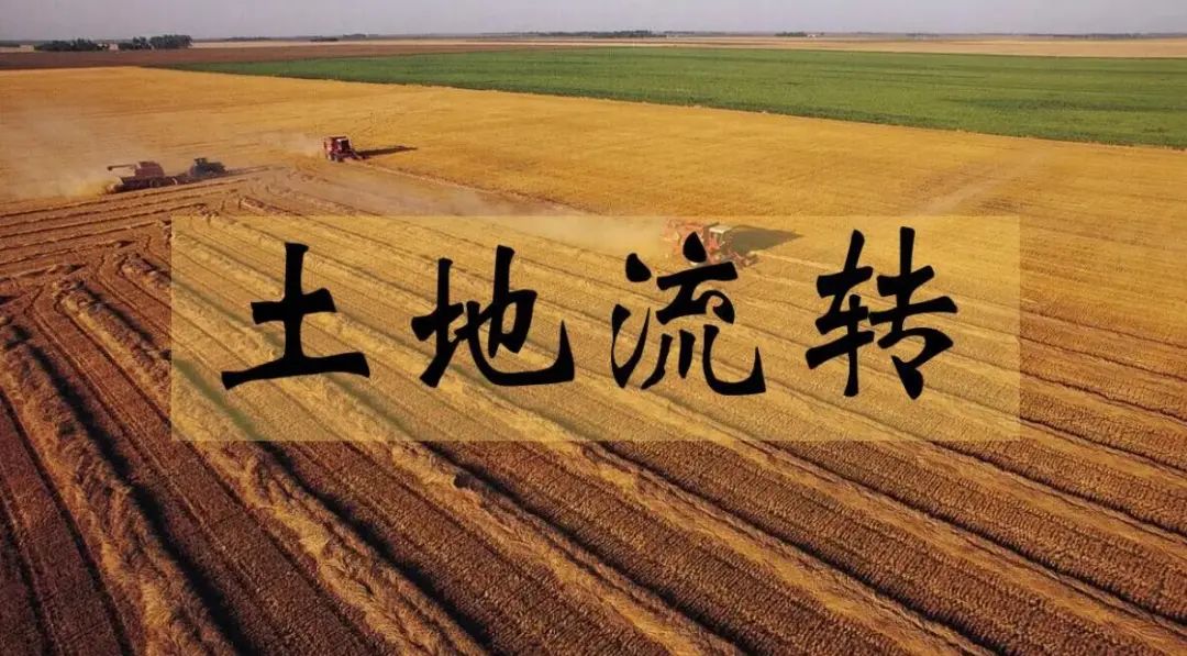 土地流转做什么赚钱-农村弄的“土地流转”，谁最赚钱？-优创圈