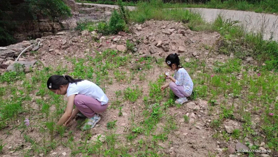 种什么庄稼最赚钱_庄稼种庄稼_种庄稼收入