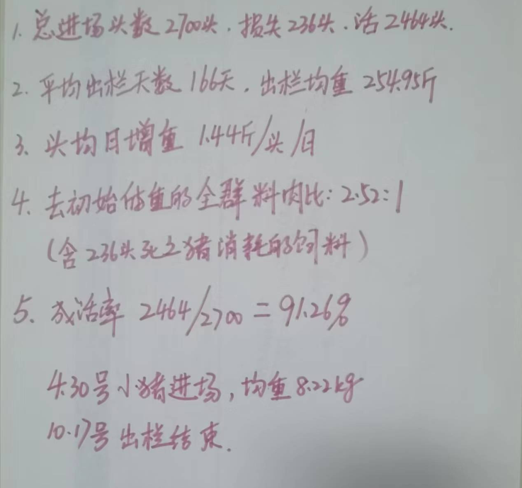 养什么猪赚钱_养猪猪赚钱_养猪赚钱多多