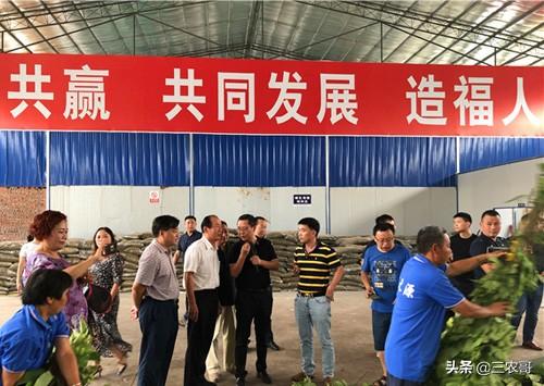 乡镇冷门生意_乡镇开什么店冷门赚钱_乡镇冷门赚钱店开什么店好