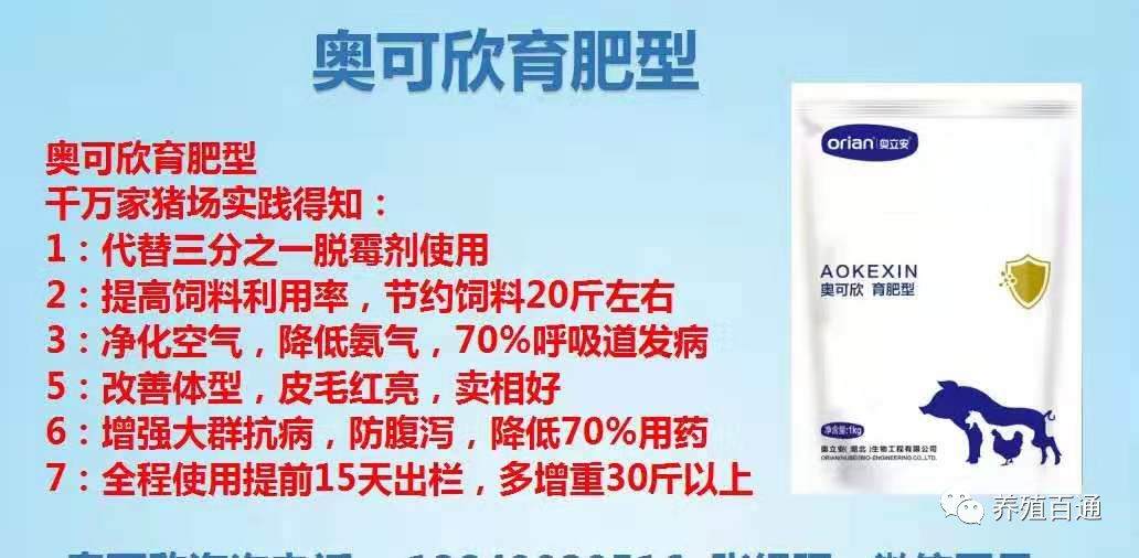 养什么猪赚钱-猪场养什么品种的猪最赚钱，老猪农告诉你答案！-优创圈