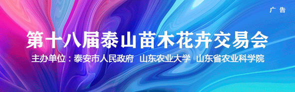 地里种什么树最赚钱-都种这四种苗木，为什么周村“集体”赚钱了，还走出了“淄博”模式-优创圈