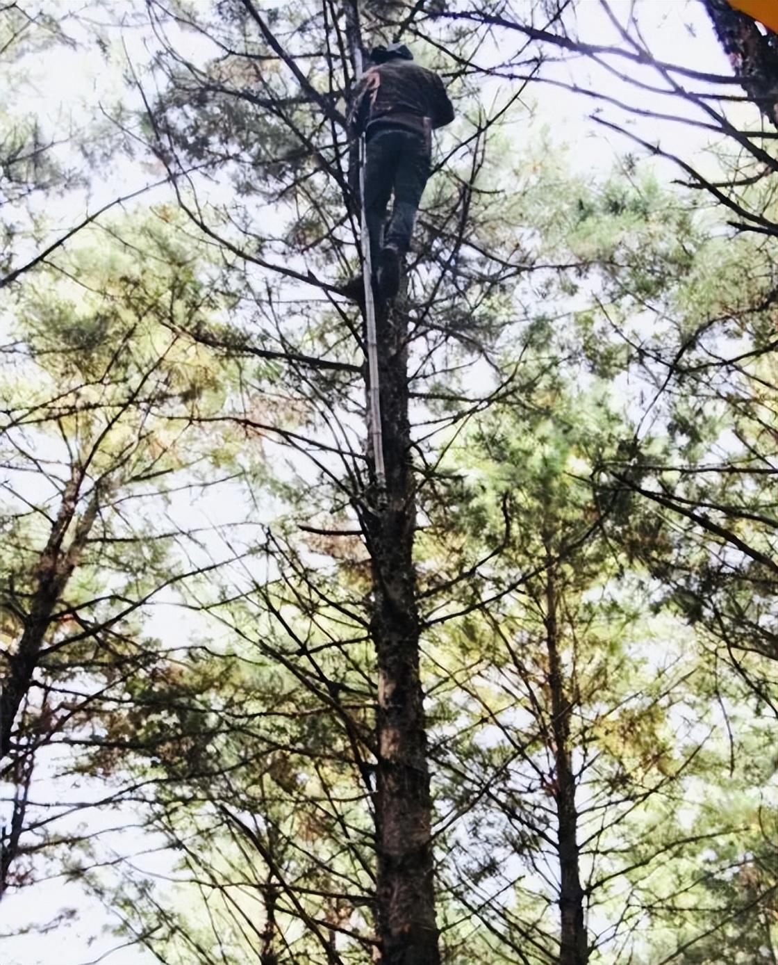牡丹江什么生意好做_牡丹江做什么赚钱_牡丹江干点什么赚钱呢