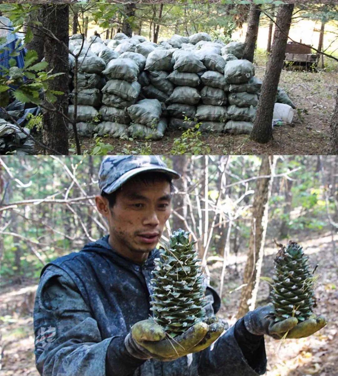 牡丹江什么生意好做_牡丹江干点什么赚钱呢_牡丹江做什么赚钱