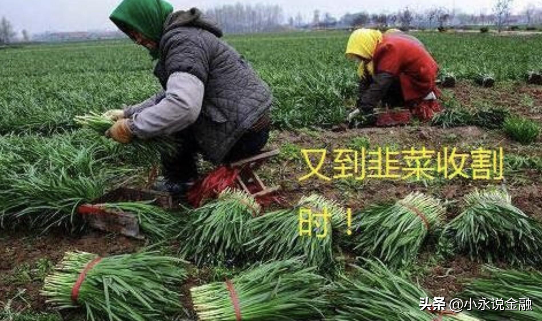 图片[3]-基金什么时候买赚钱-一年买卖基金超过10次，大概率你会赔钱，怎样买基金才能赚钱？-优创圈