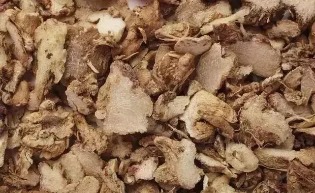 苗木种植赚钱不_种苗木前景如何_种植什么苗木赚钱