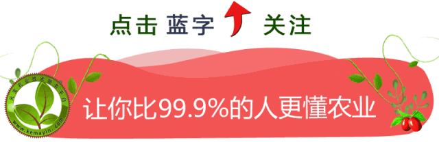 种植什么中草药赚钱-种植中药材为什么不赚钱呢？-优创圈