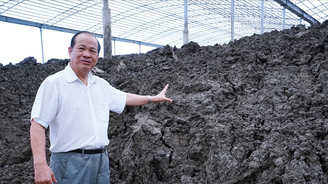 广西养什么最赚钱-广西大叔养5000头牛却不卖，饲养几乎零成本，仅靠牛粪成亿万富翁-优创圈