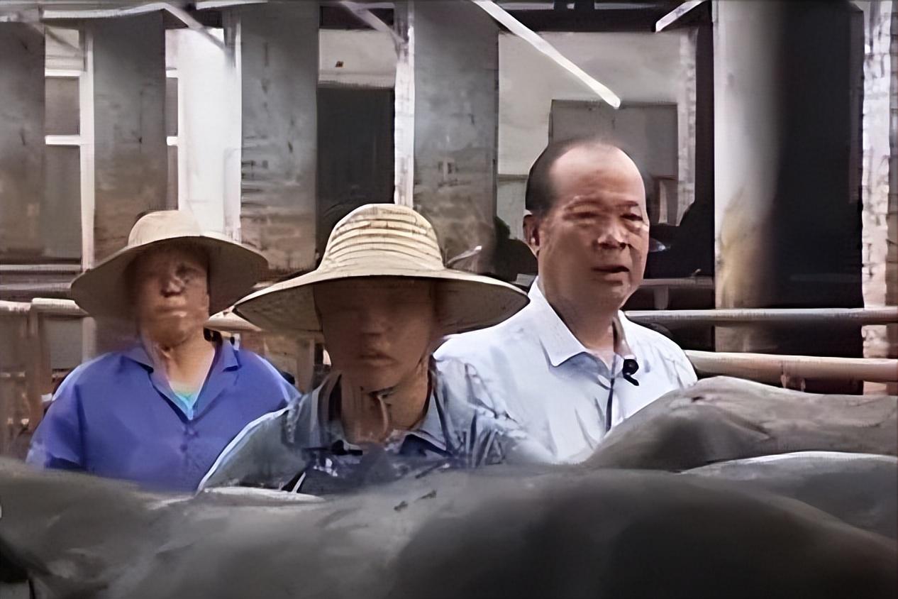 广西养什么赚钱_广西养什么最赚钱_广西搞什么养殖最有发展空间