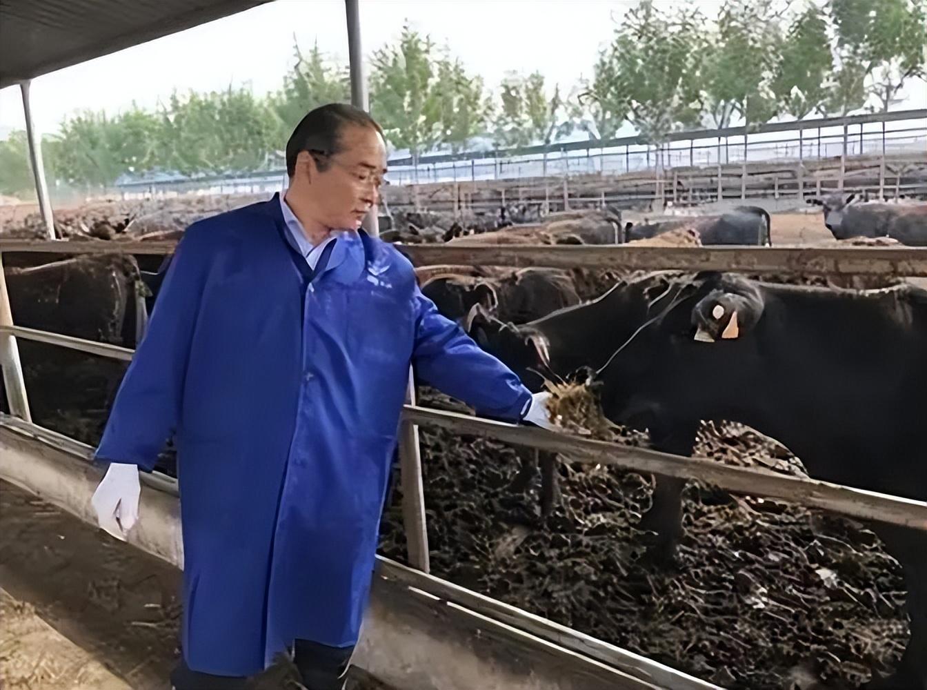 广西搞什么养殖最有发展空间_广西养什么最赚钱_广西养什么赚钱