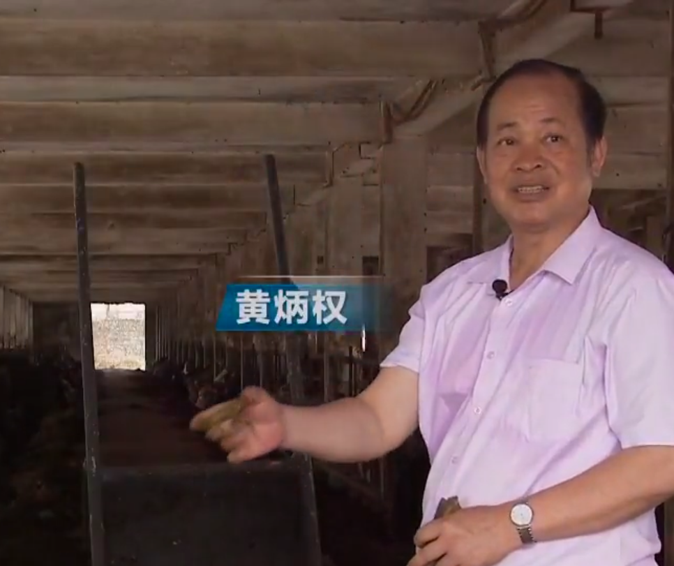 广西养什么最赚钱_广西养什么赚钱_广西搞什么养殖最有发展空间