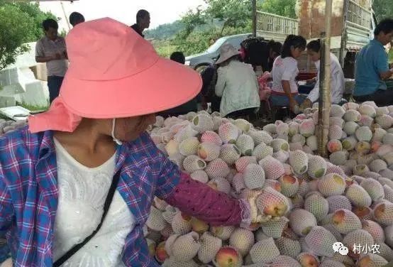 现在农村做什么最赚钱-在农村干啥最赚钱？这5个农村最火致富项目，想赚钱的赶紧来看看​！-优创圈