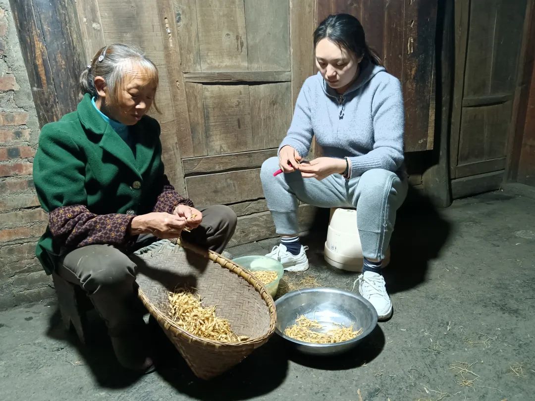 赚钱种地游戏_有田地种什么最赚钱_赚钱种地游戏合集