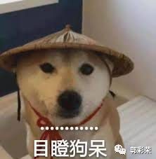 今年投资什么最赚钱_赚钱投资今年怎么样_今年投资什么挣钱