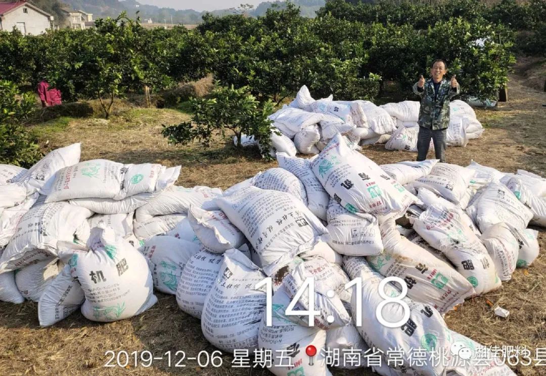 南方种什么果树最赚钱_南方果树苗_南方果树栽培学
