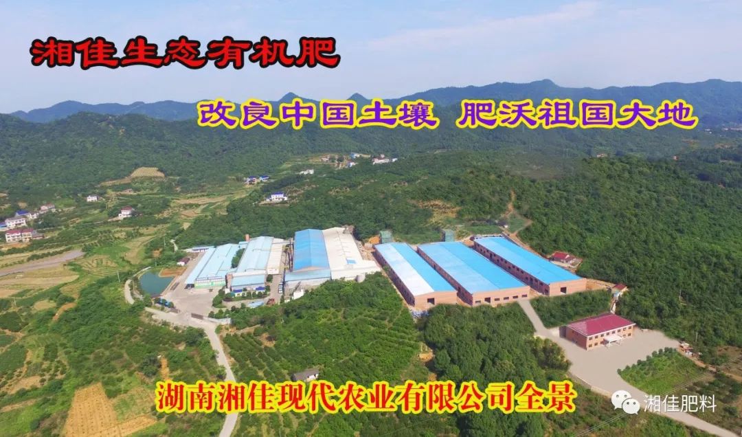 南方果树栽培学_南方果树苗_南方种什么果树最赚钱