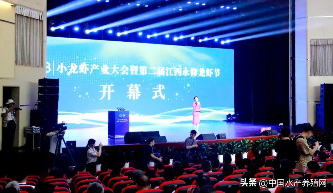 江西养殖业什么最赚钱-赞！江西这个县小龙虾年产量3万吨，稻虾综合产值达15亿！-优创圈